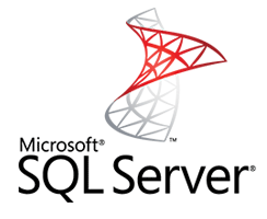 Microsoft SQL Server Training Chennai