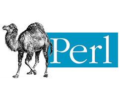 Perl Training in Chennai