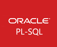 Oracle PL SQL Training Chennai