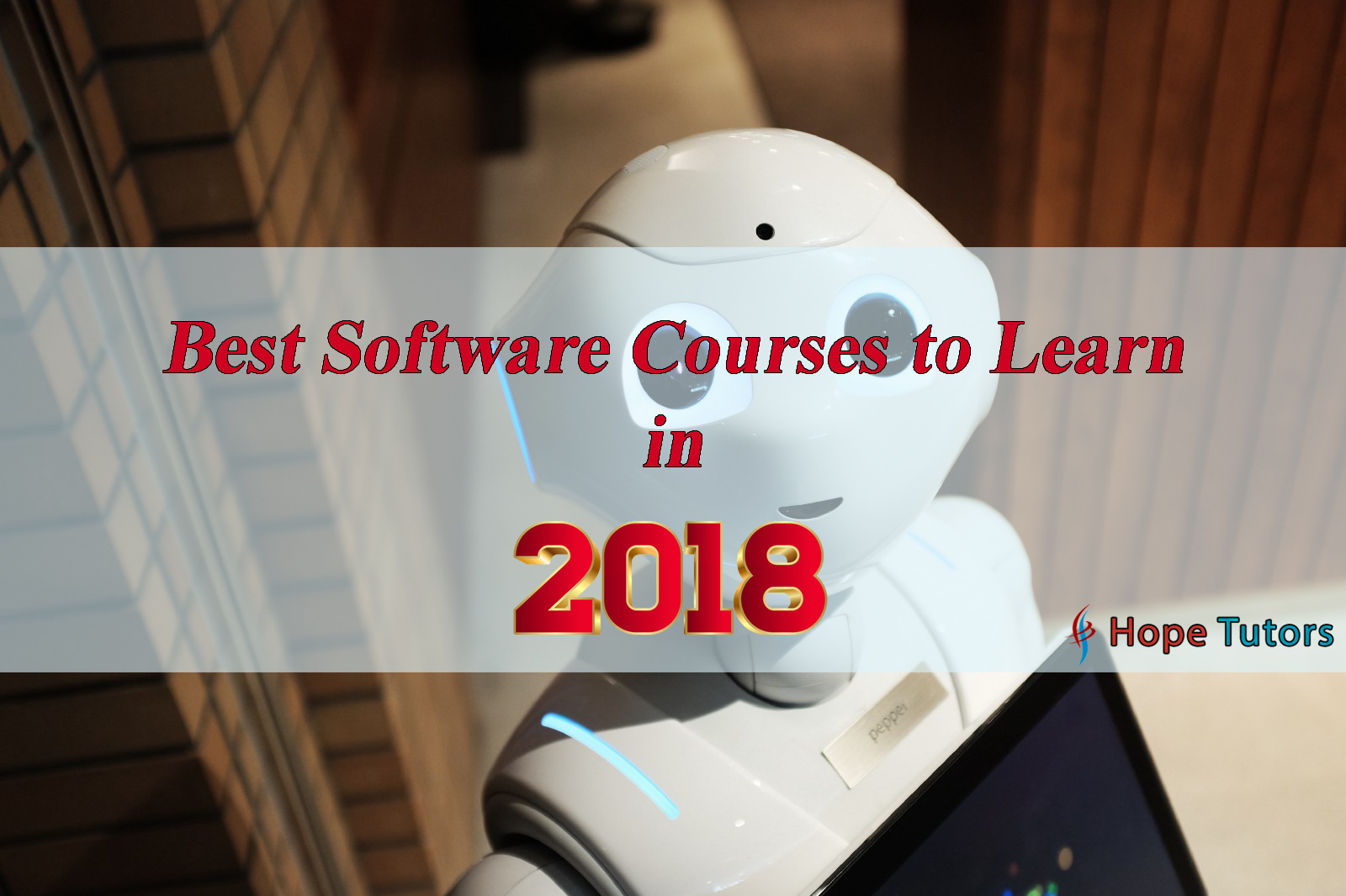 Best Software Courses to Learn in 2018