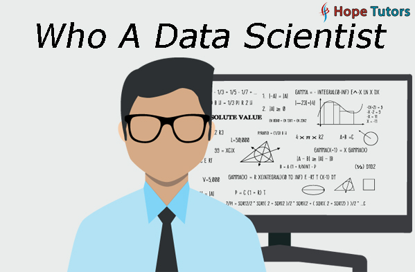 What is Data Scientist