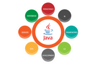 Future of Java Developers - Career Opertunities for Java Developers